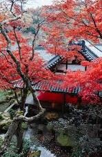 澳门赌场哪家好-澳门赌场哪家好的选择指南