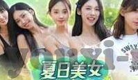冰岛足球比赛比分-冰岛足球，绿茵场上的奇迹与比分背后的故事