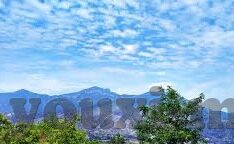 九游电脑版下载最新版-畅游数字世界的钥匙，九游电脑版最新下载指南