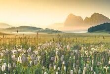 www足球比分com-深度解析，www足球比分com——球迷的掌上观赛神器